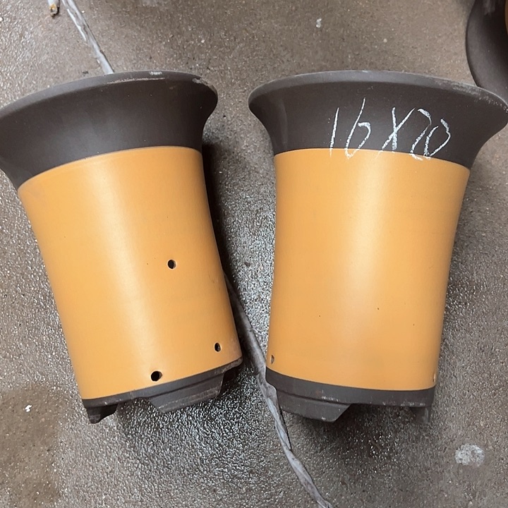 紫砂紫砂紫砂紫砂 