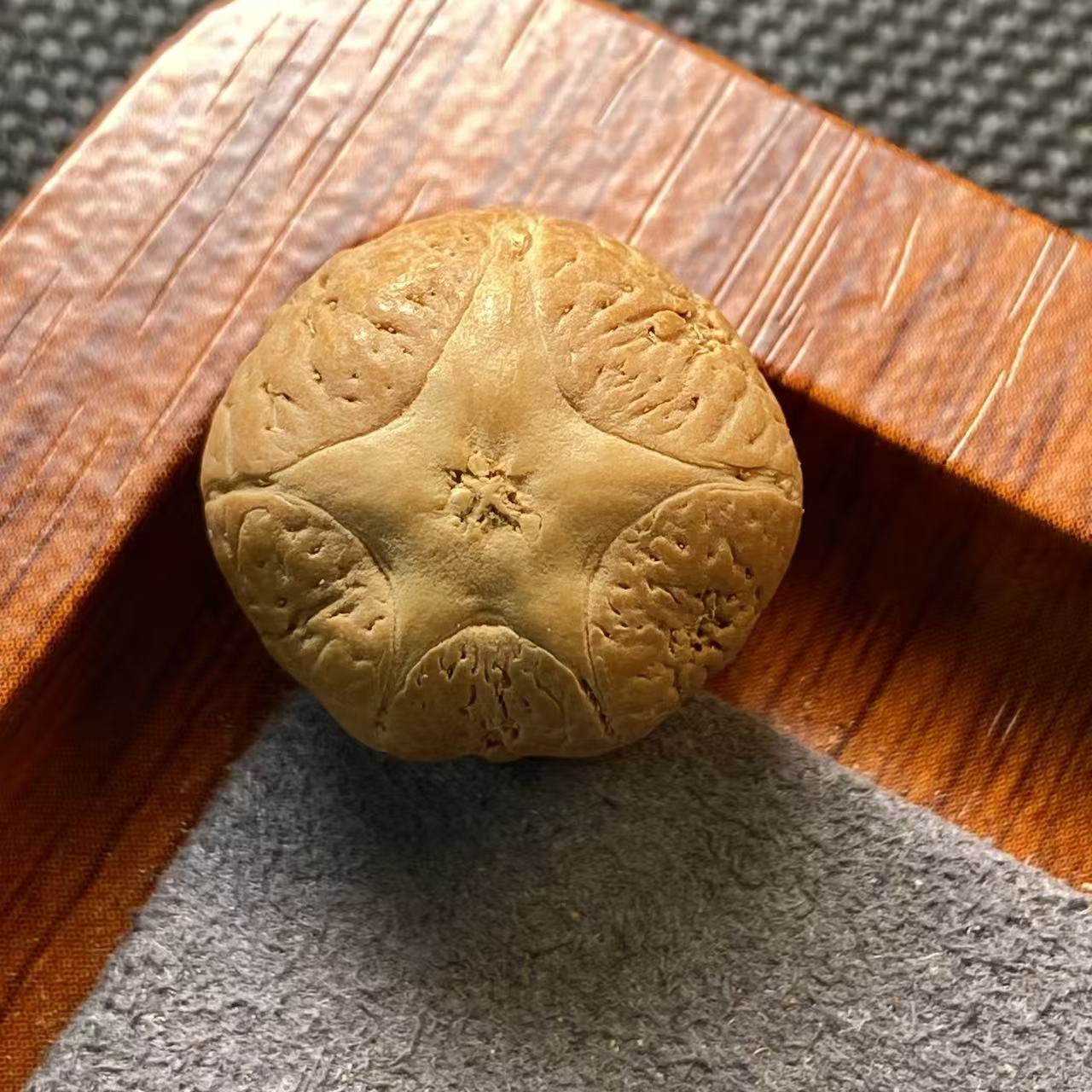 【五星上将】20mm尼泊尔五星上将单颗(派大星款）确认打孔后不退换