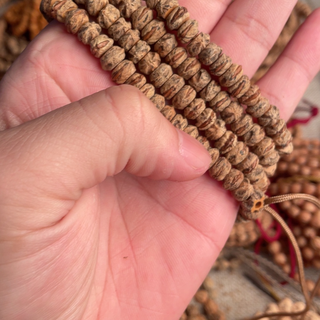 不***晕热振柏香籽专拍链接