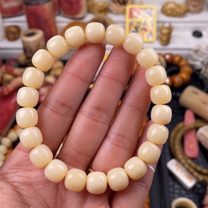 驼骨手串/手链骆驼骨老邢10