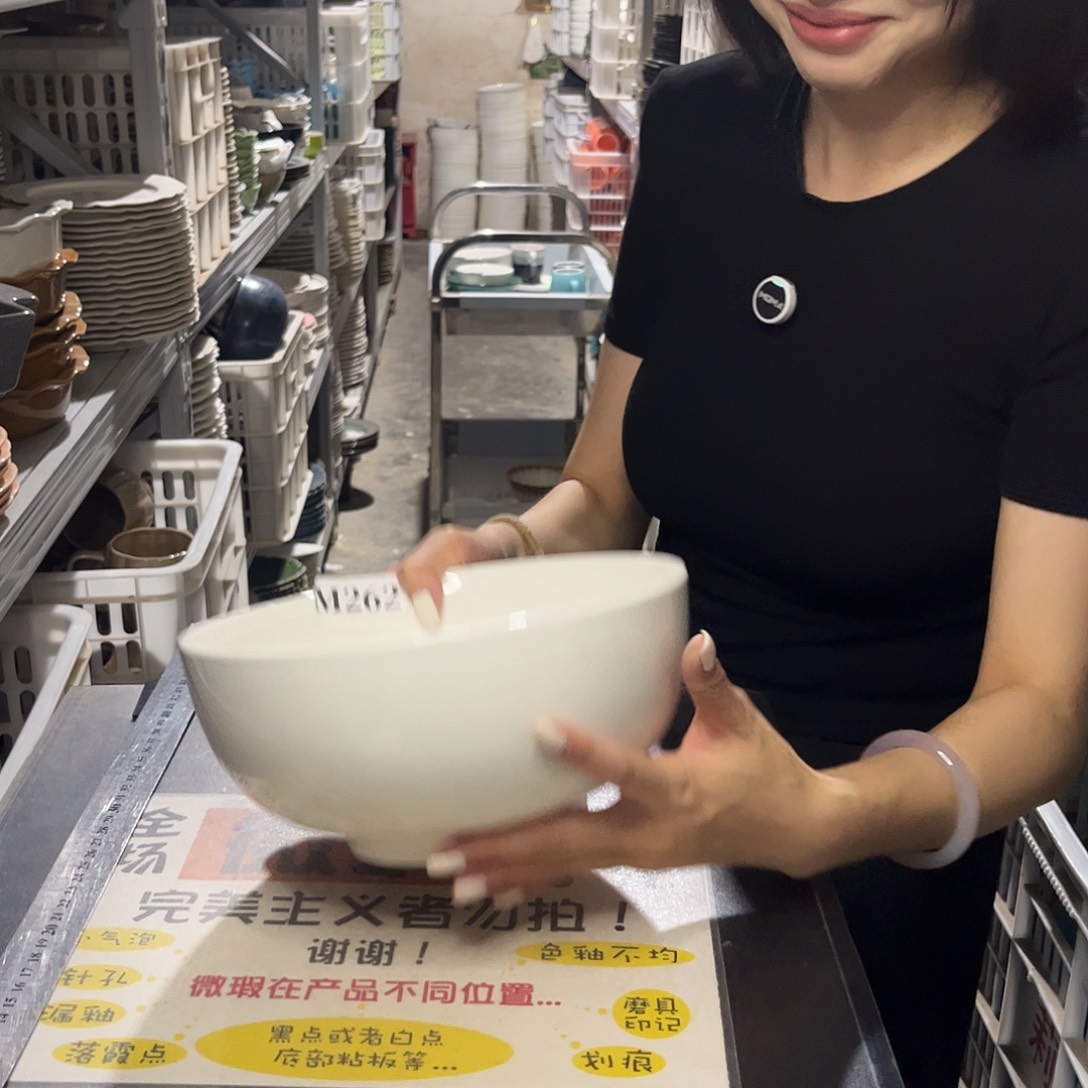 瓷片262               1个