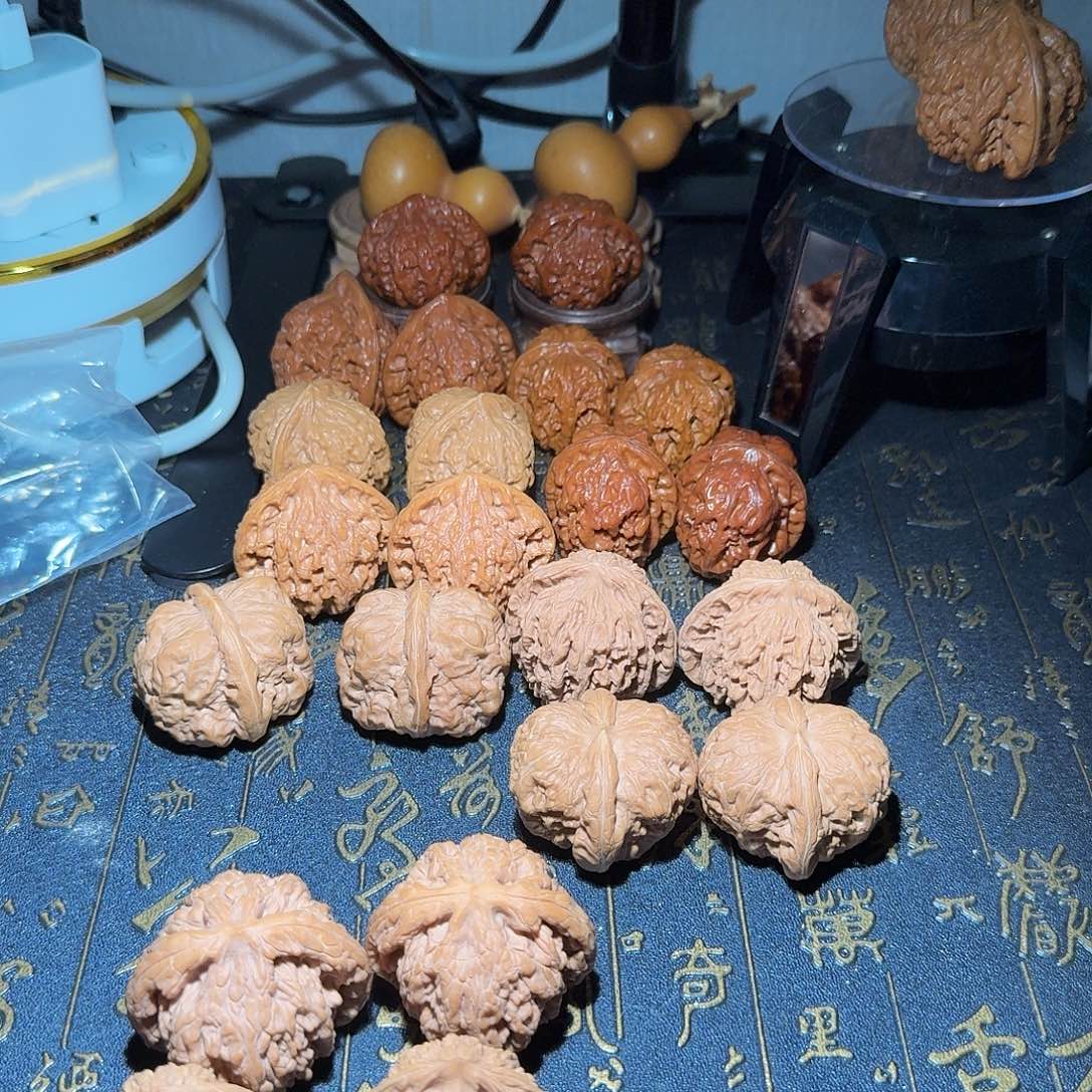 大叶紫檀（黑酸枝木类）