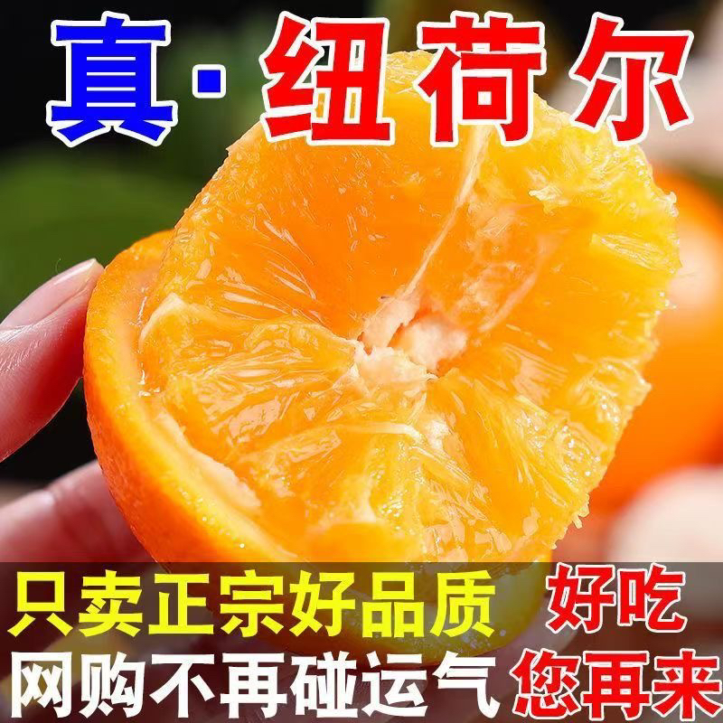 湖南纽荷尔脐橙新鲜应季橙子香甜多汁产地直发带箱10斤包邮