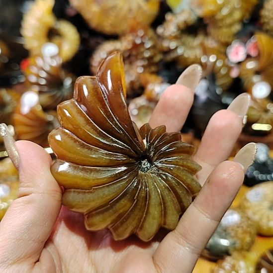 叮***咛2716044837169529螺