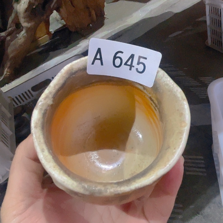 爱尚柴烧柴烧柴烧柴烧645