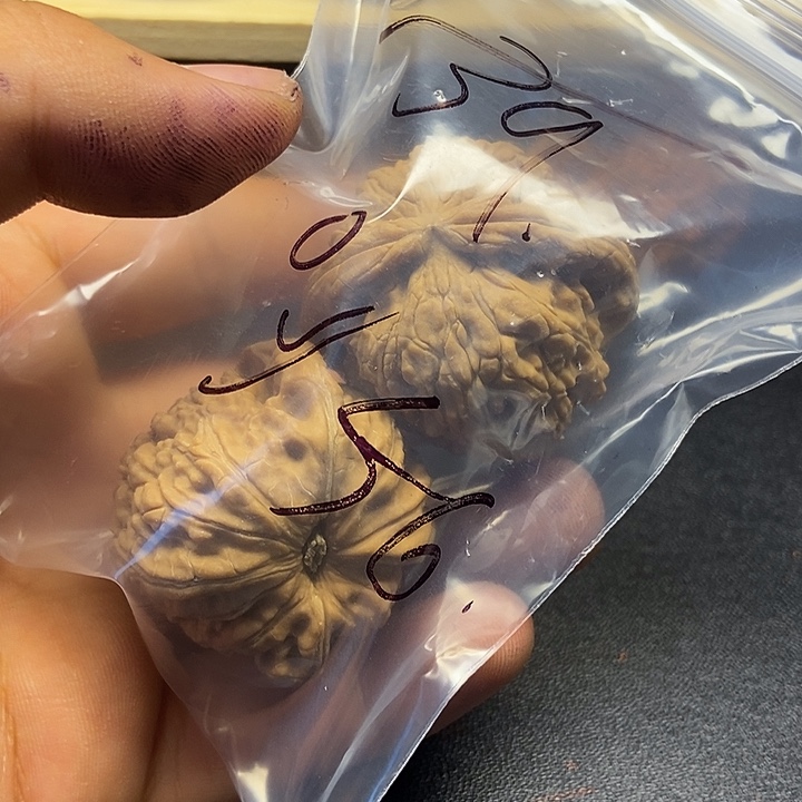 魚***乾核桃五十六号文玩