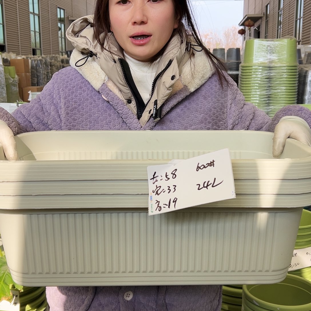 菜盆600#米白3个无托