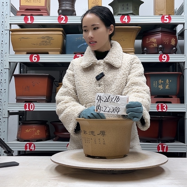 紫砂花盆紫砂花盆