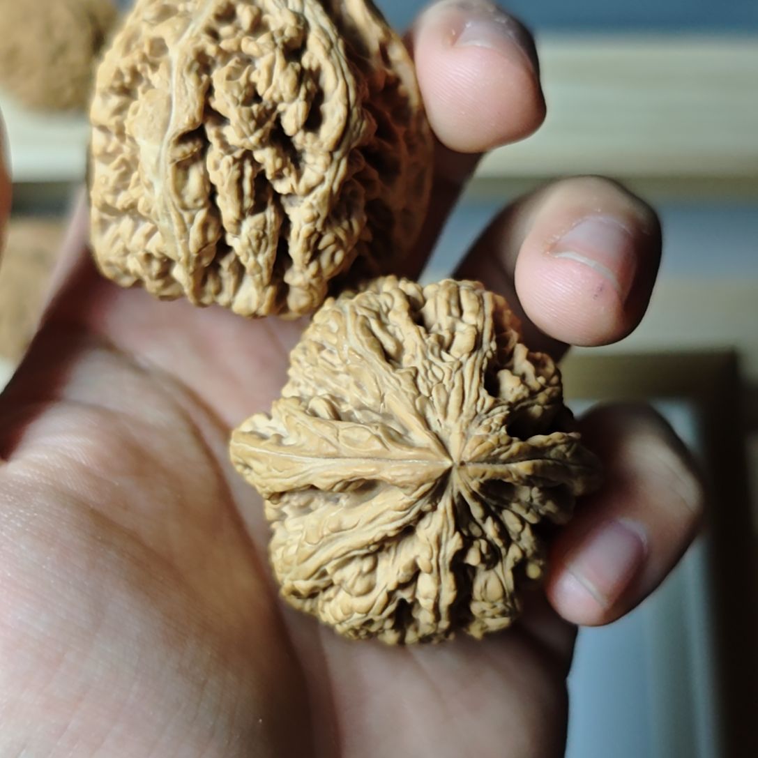 我****大46超级板正大粗筋原装