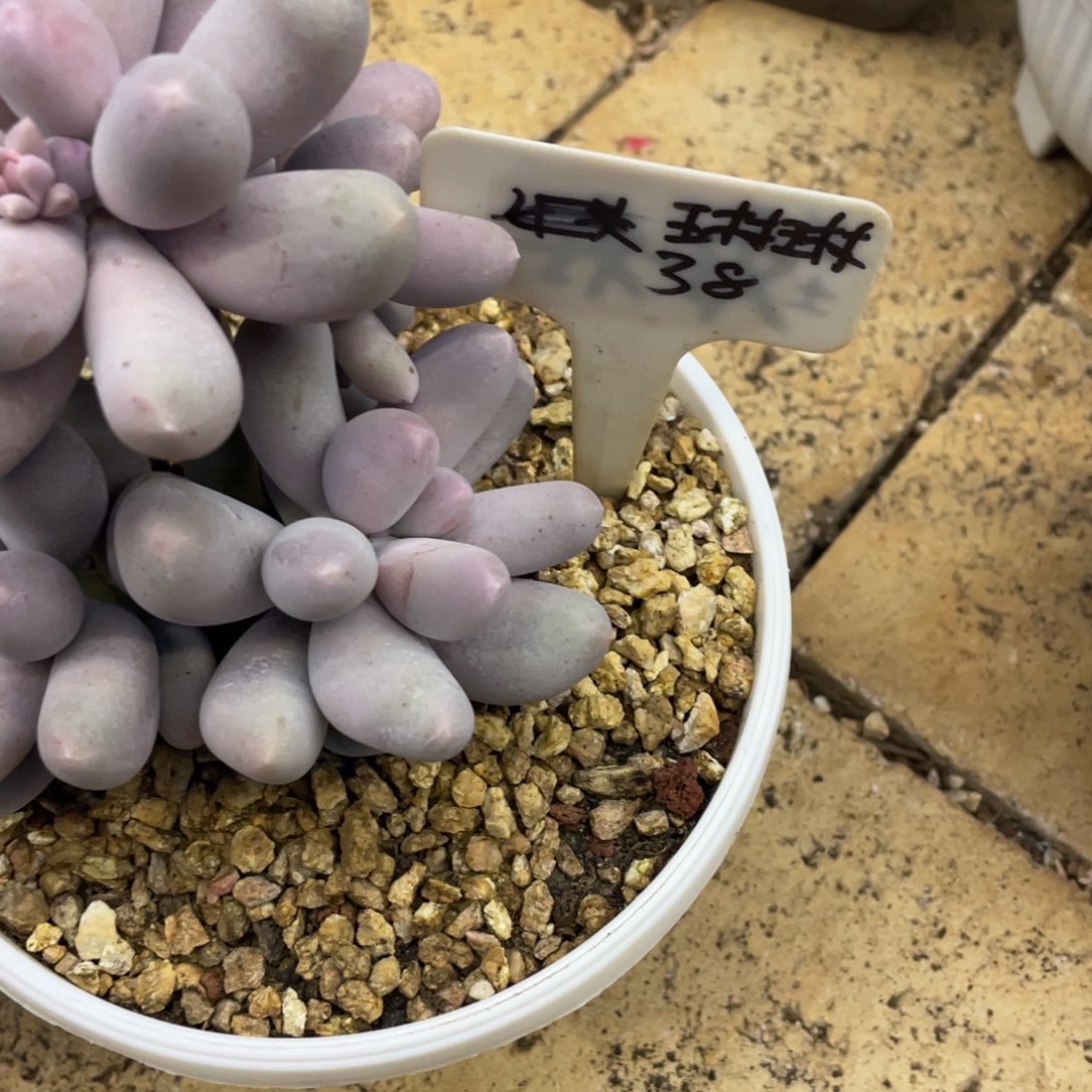 琳***琳姐姐我都在等你电话你，琳琳38