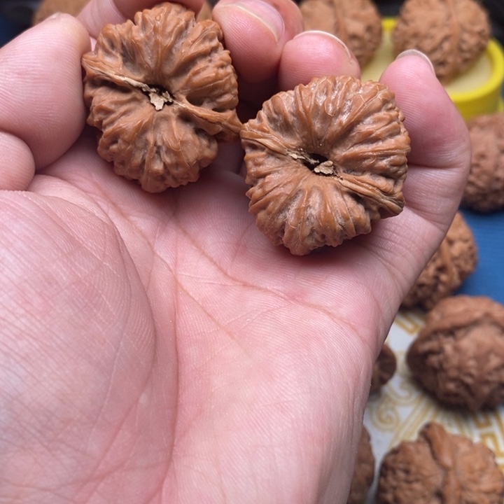 核桃手串/手链凹底34尺以上