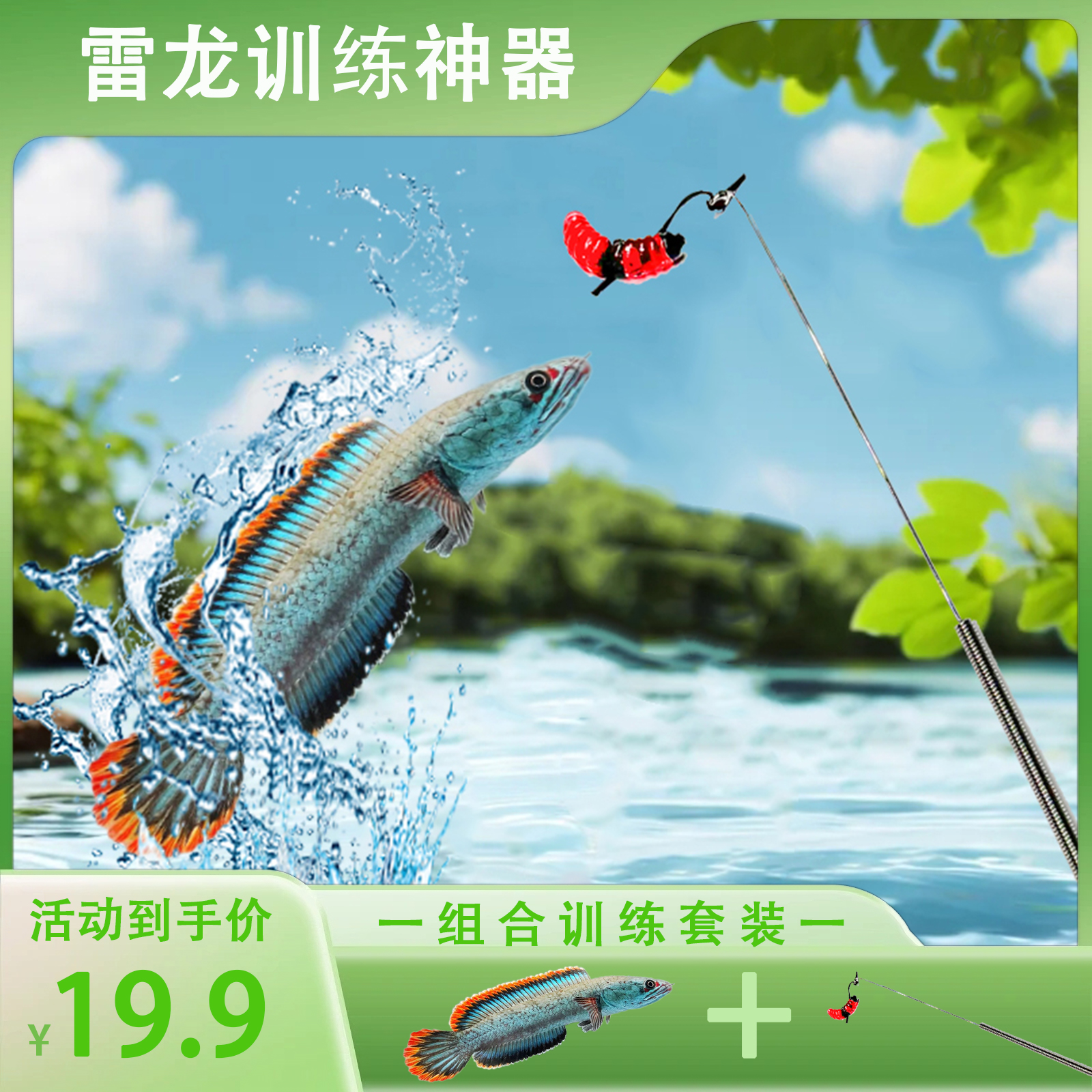 雷龙鱼逗鱼训练神器逗鱼卡+逗鱼棒组合装