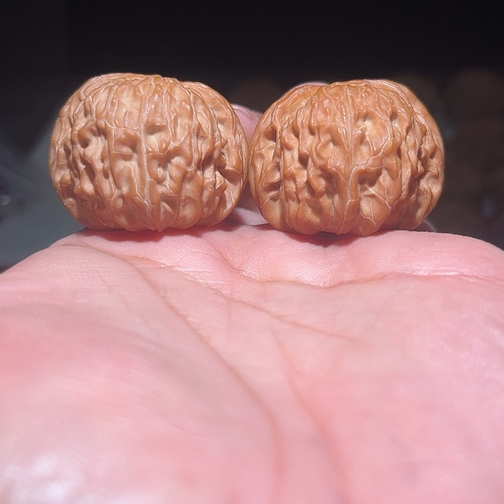 风***夏木39磨盘。         