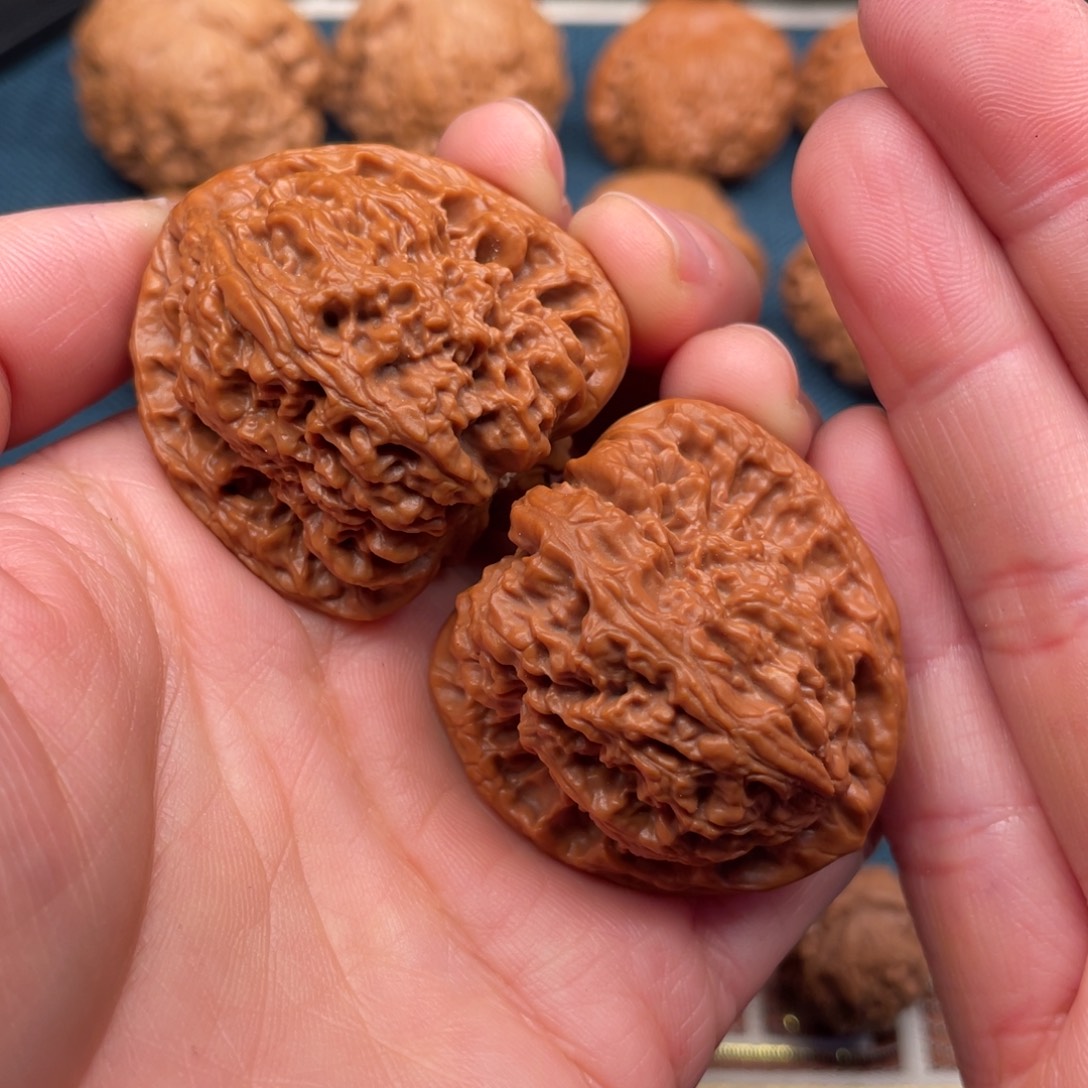 文玩核桃把件39红皮老树三角疆