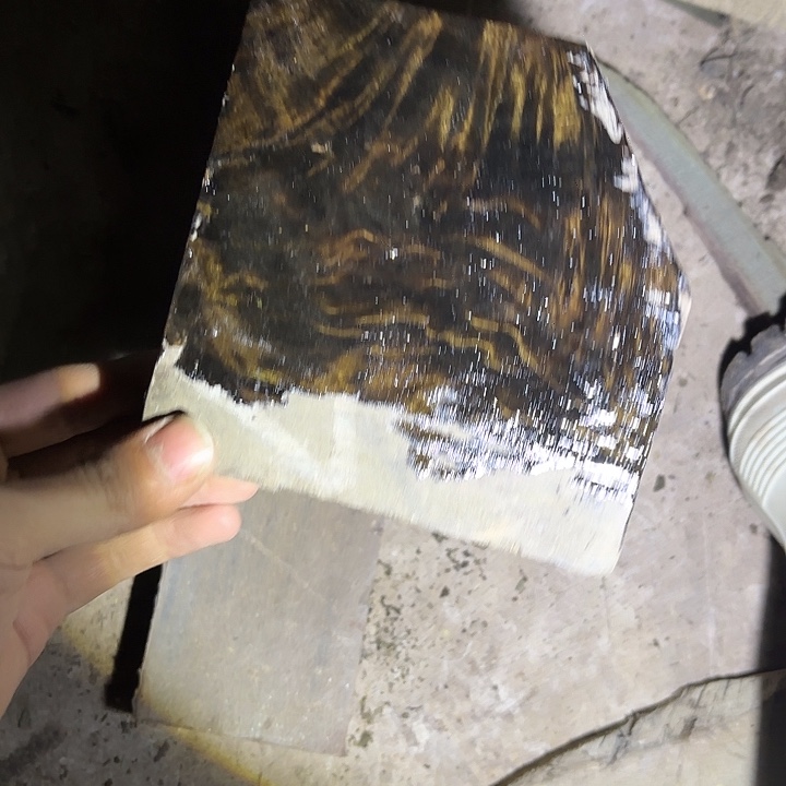 金丝楠啊啊啊啊啊啊
