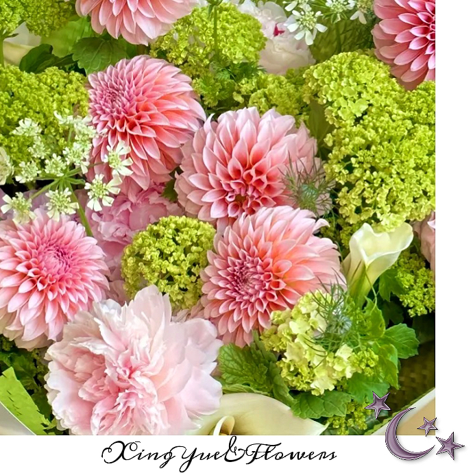 【星玥鲜花】春日撞色小众花材