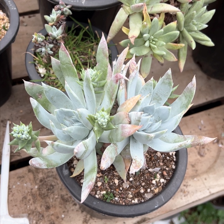 961哈哈哈哈哈哈哈哈哈