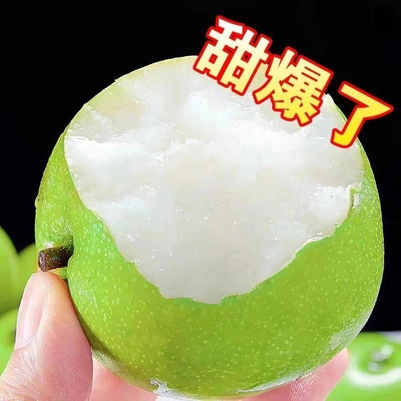 【支书助农】砀山青皮梨蜜梨脆甜无渣汁水新鲜水果梨砀山脆甜梨脆甜