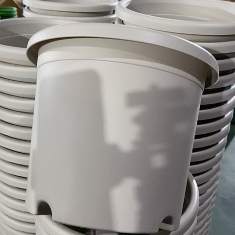 树脂3#无托灰白10个