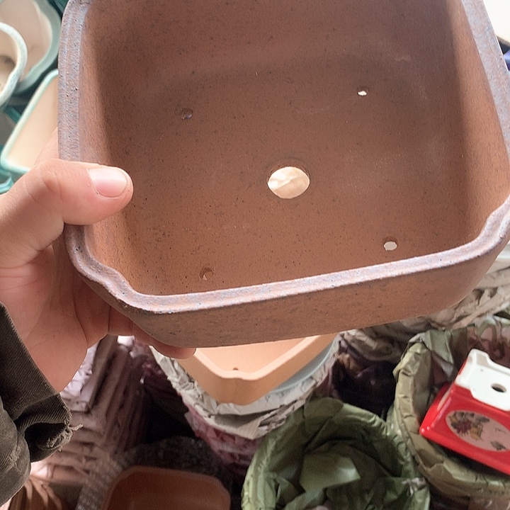 紫砂我要不就是你一