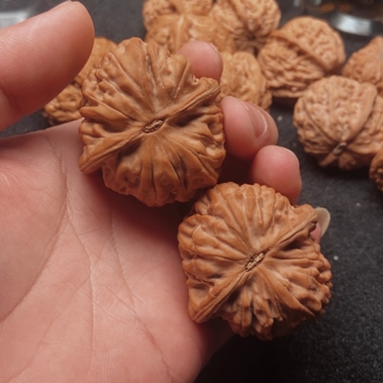 超*全品无修凤凰台46尺码