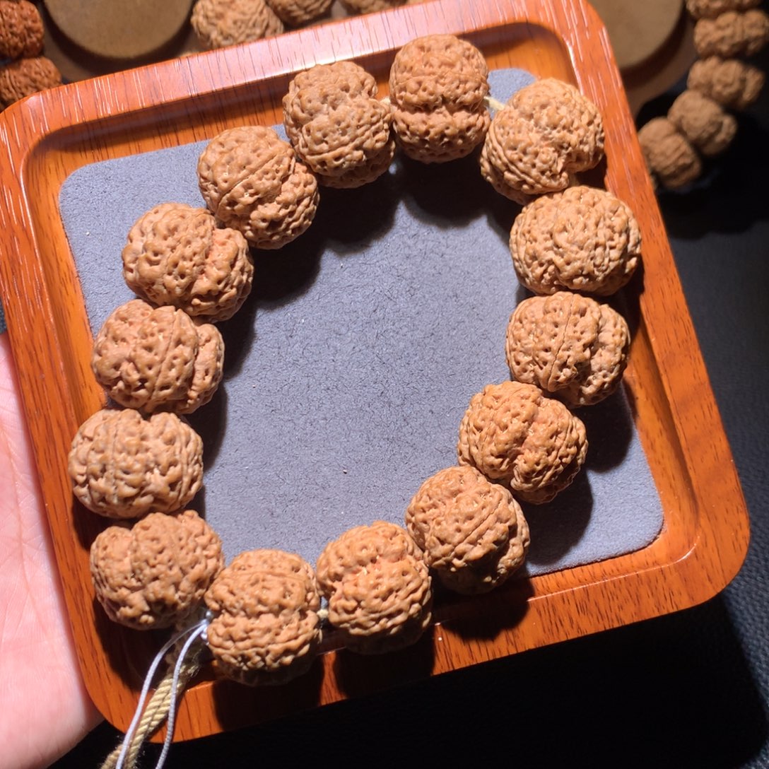 手串金刚菩提26九龙肉梅花