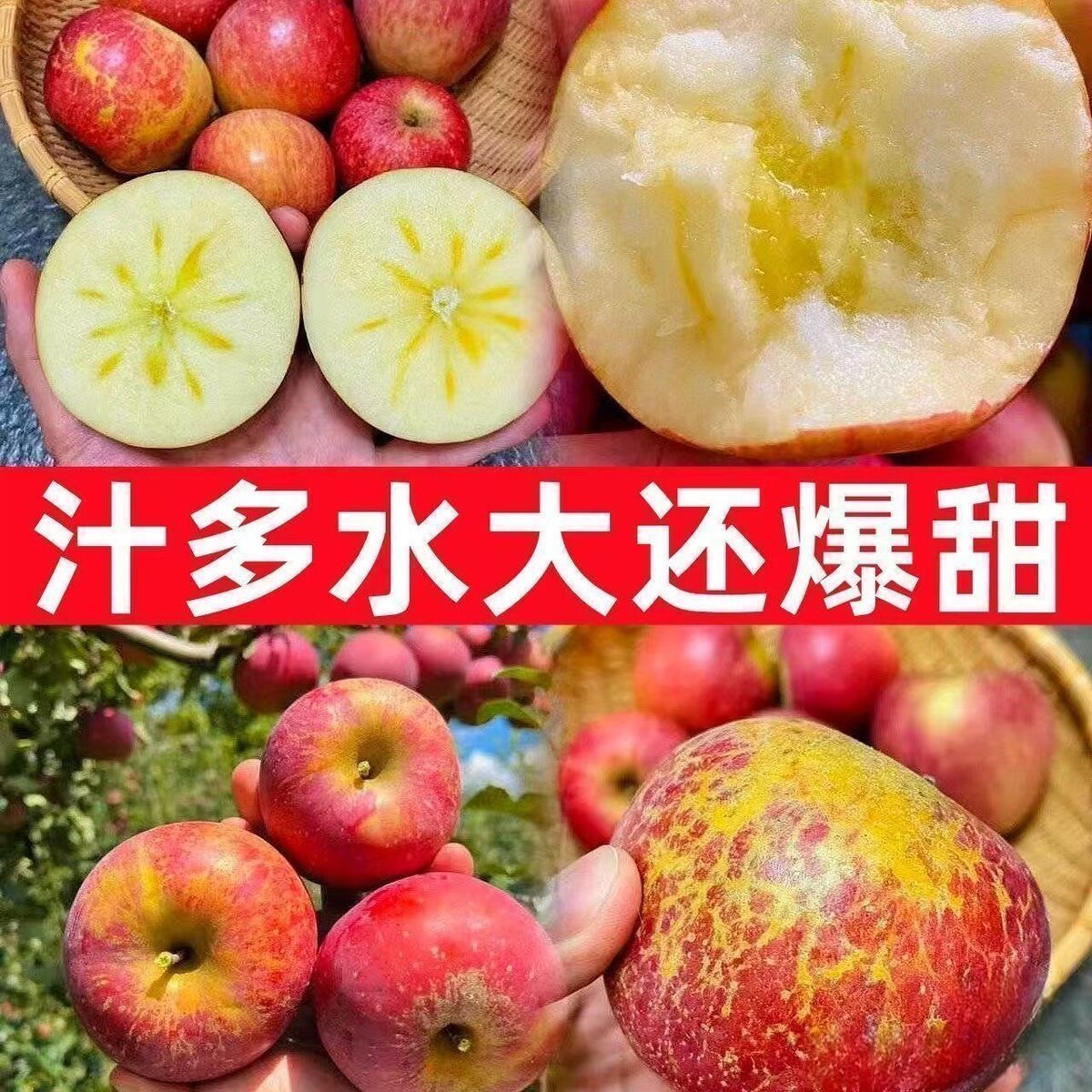 四川大凉山盐源正宗冰糖心丑苹果新鲜应季脆甜多汁水果