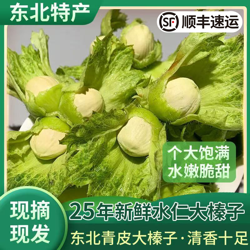 2025年新货新鲜绿皮东北大榛子水仁水瓤鲜绿青皮大榛子顺丰包邮