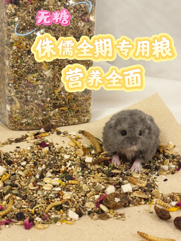 无糖侏儒仓鼠粮低糖低碳水仓鼠种子粮长肉防挑食一线坎贝尔鼠粮