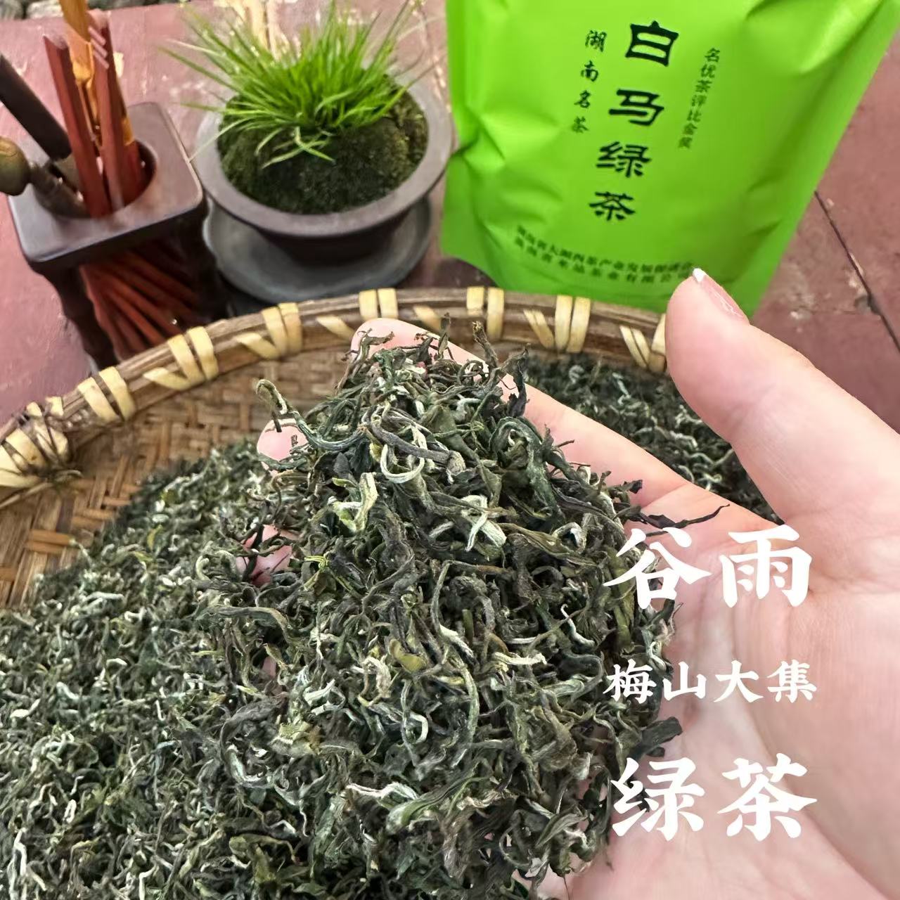 【谷雨绿茶】湖南隆回金石桥手工高山绿茶/金银花茶/甜茶散装称重
