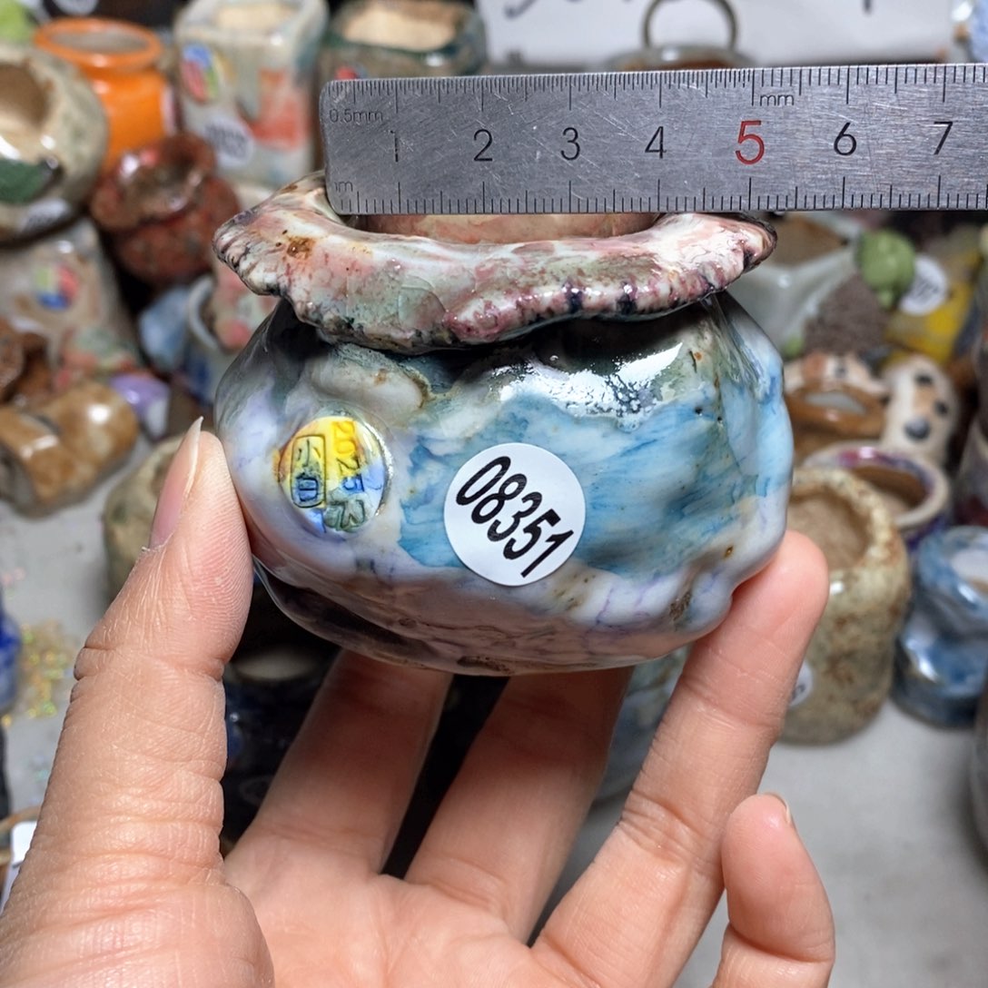 花盆拍3送一个小礼物