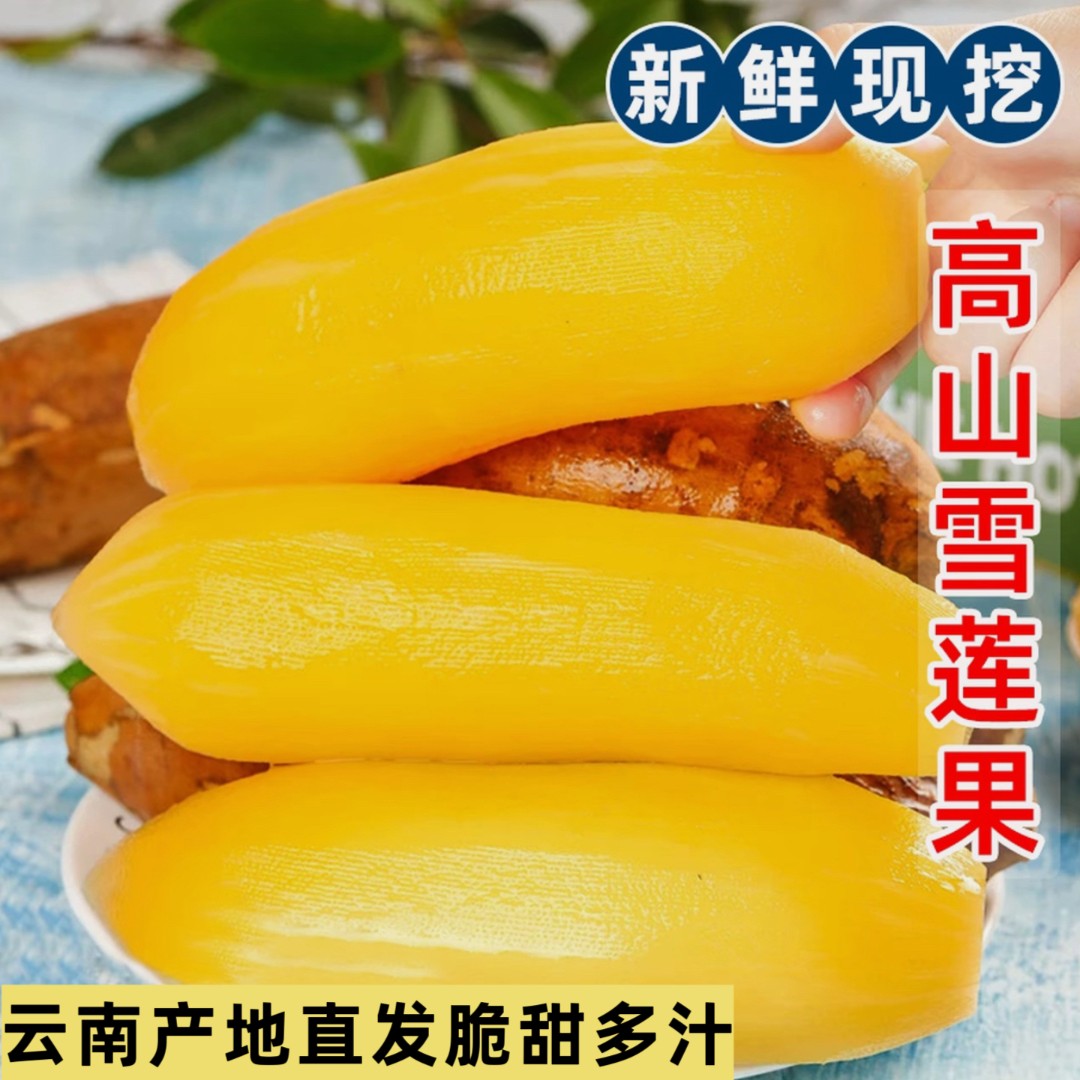 【条形精选】云南正宗天山雪莲果新鲜应季水果脆甜多汁现挖包邮