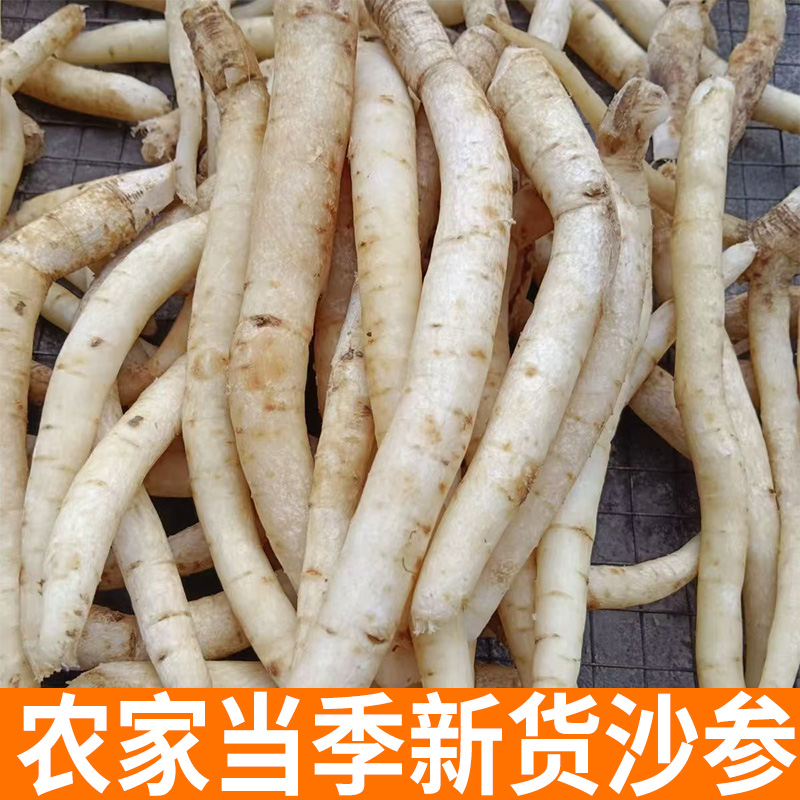 农家新货 沙参 农家自然晾晒 手工削皮