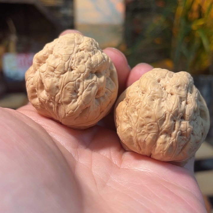 文玩核桃把件编号80