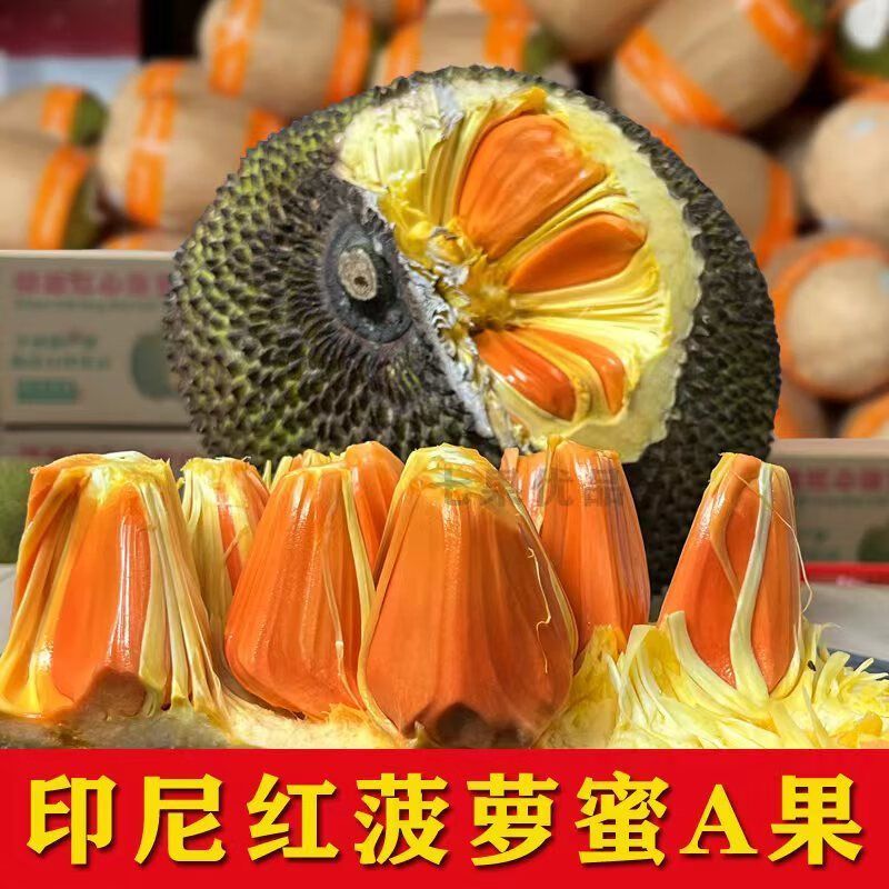 印尼红肉菠萝蜜当季新鲜水果