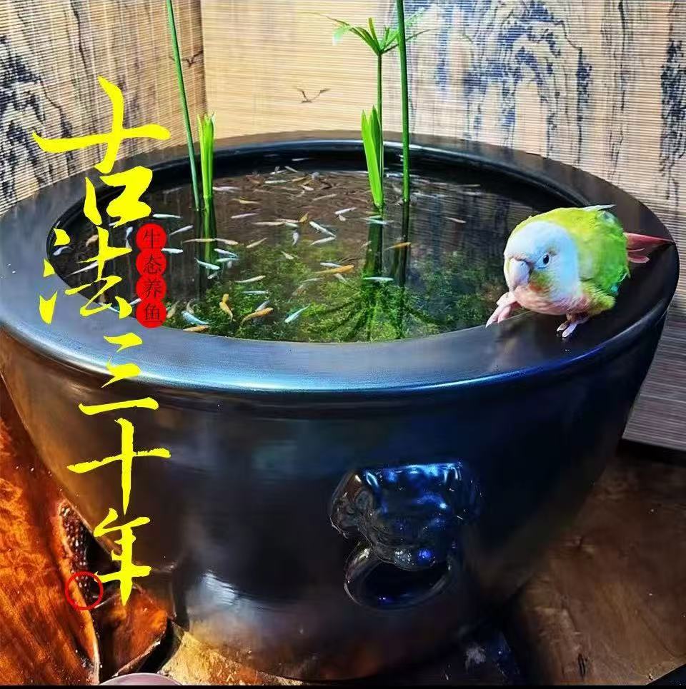 【古法三十年专属】水草液态碳250ml