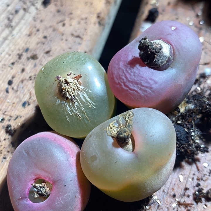 22268一组一组一组