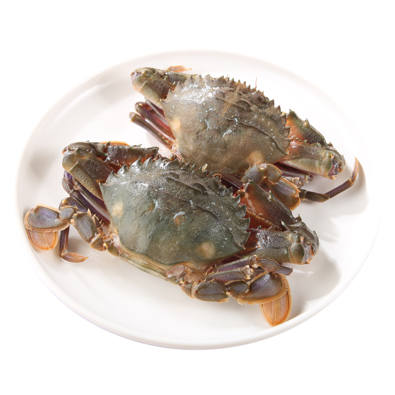 石蟹一斤5—6只左右【保鲜不保活】