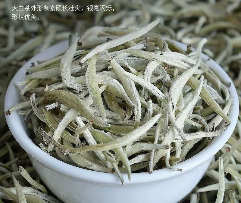 老挝古树茶白毫银针/白茶