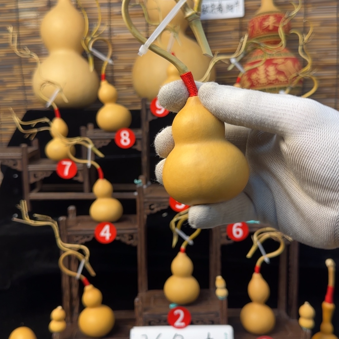 澜***木啊啊啊啊啊啊啊啊啊啊