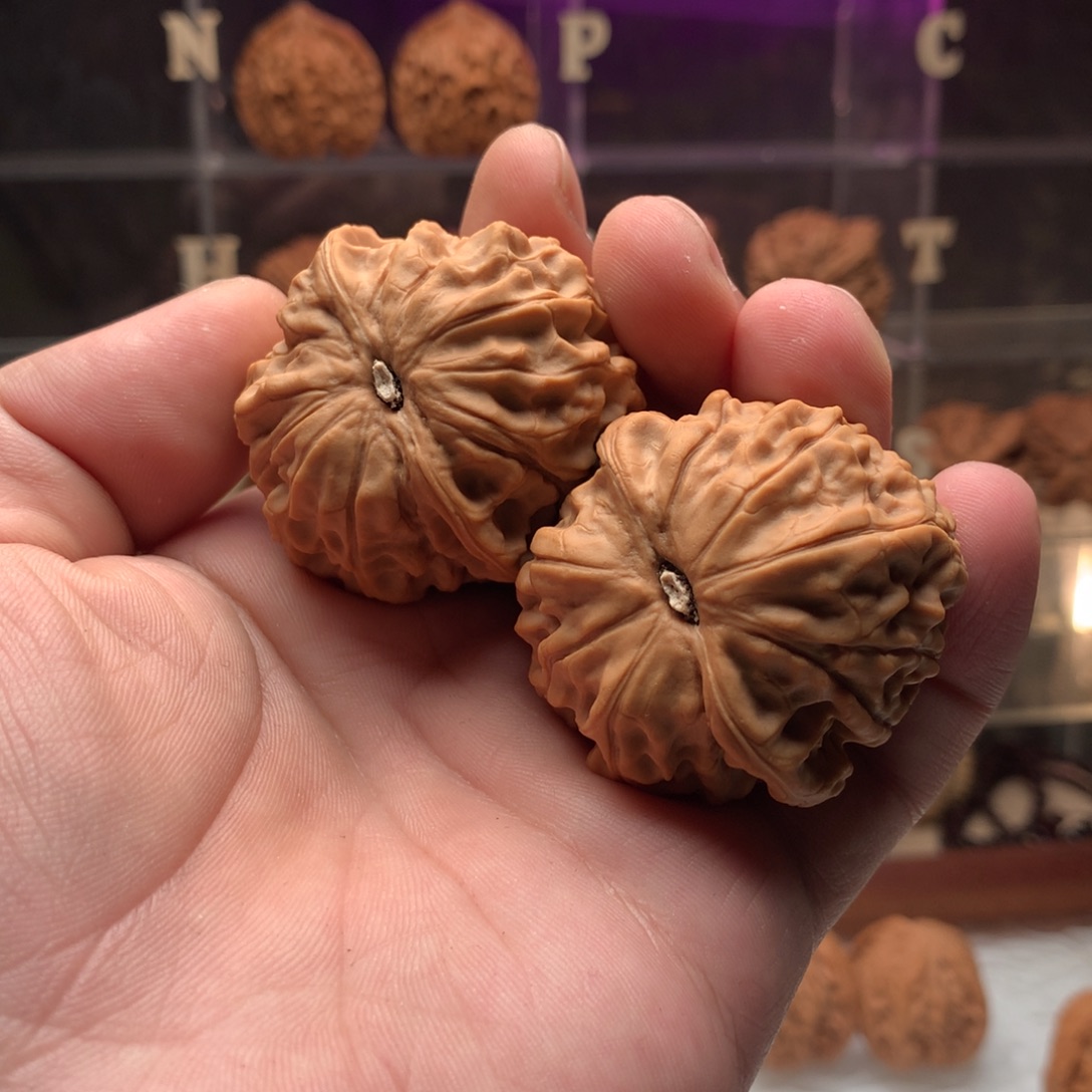 ****7文玩核桃吊坠核鼎666888