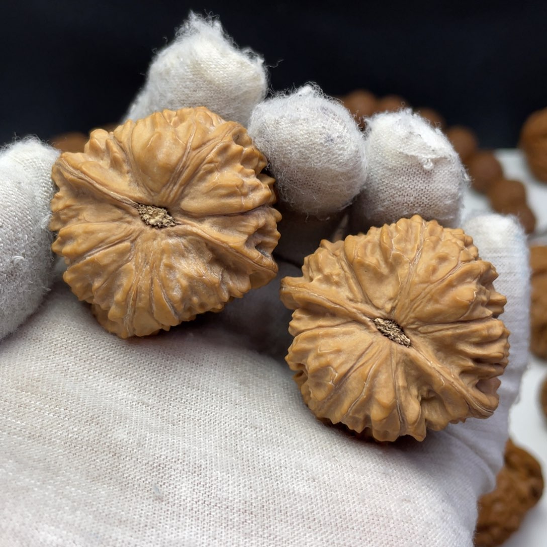 文玩核桃把件38+麻核桃练手对