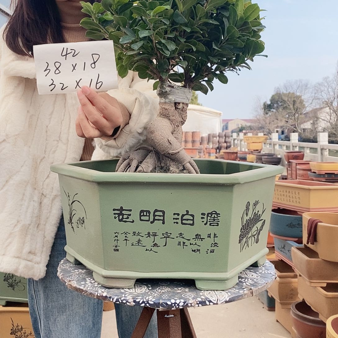 紫砂花盆紫砂花盆