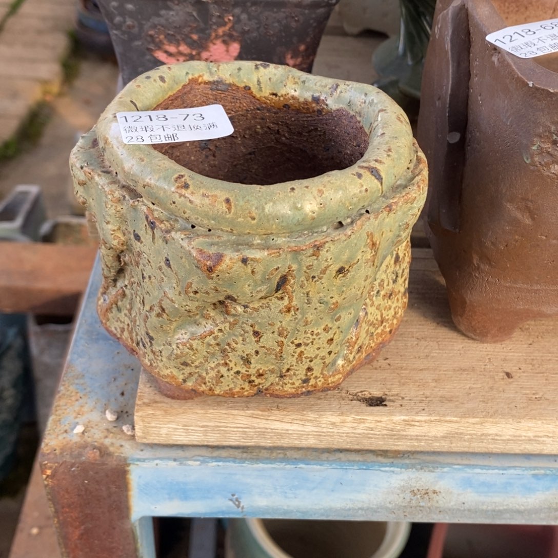 73号多肉盆口径7小可爱