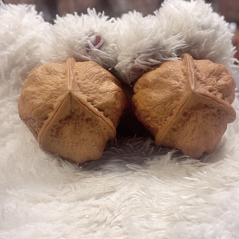 文玩核桃把件蝴蝶蟾带彩37