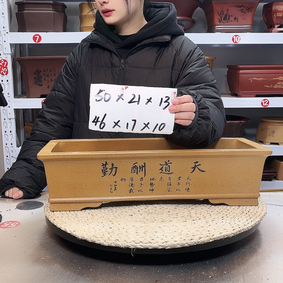 花盆紫砂紫砂花盆