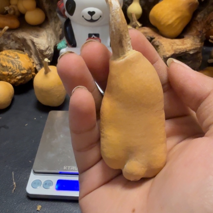 一***布66…………………………………………