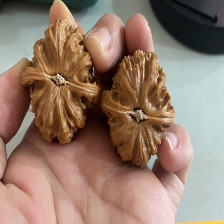 精品盘玩文玩核桃白狮子边41尺寸