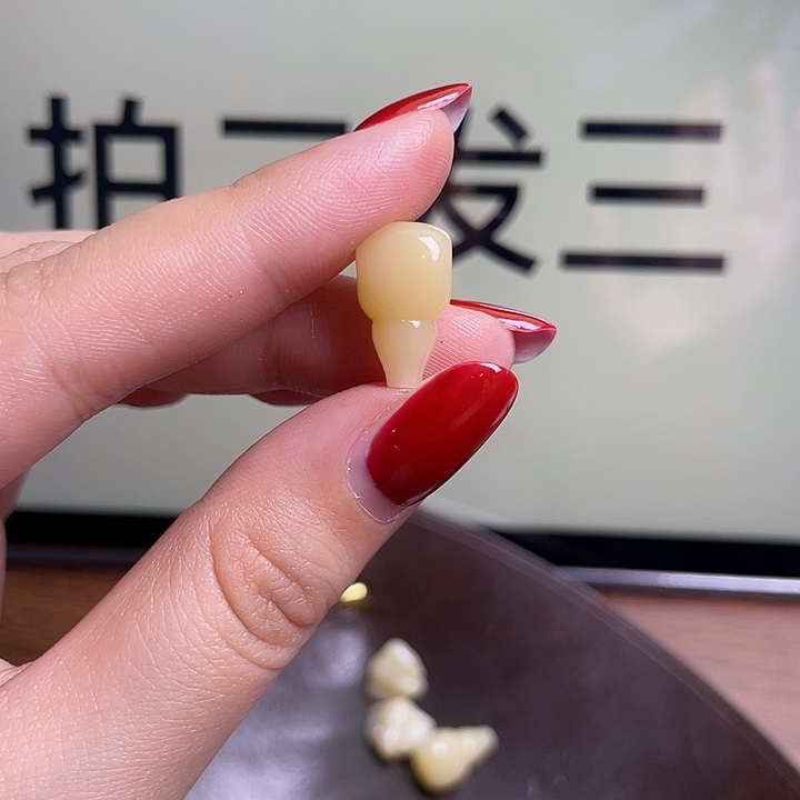 手串/手链驼骨0149