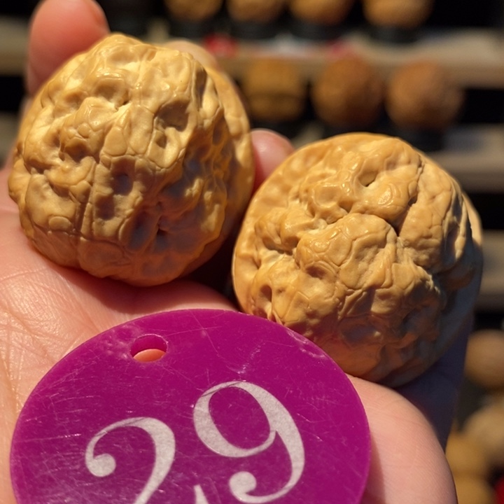 木质类金蟾疙瘩包34尺寸